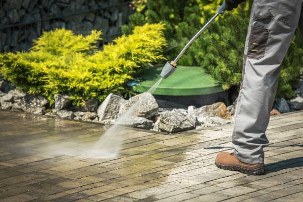 Brick and Stone Cleaning